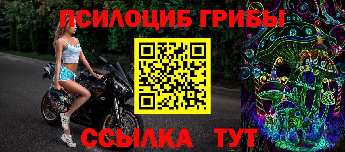 Псилоцибиновые грибы Psilocybe  Галлюциногенные грибы GOLDEN TEACHER  Воткинск  Вход с VPN 